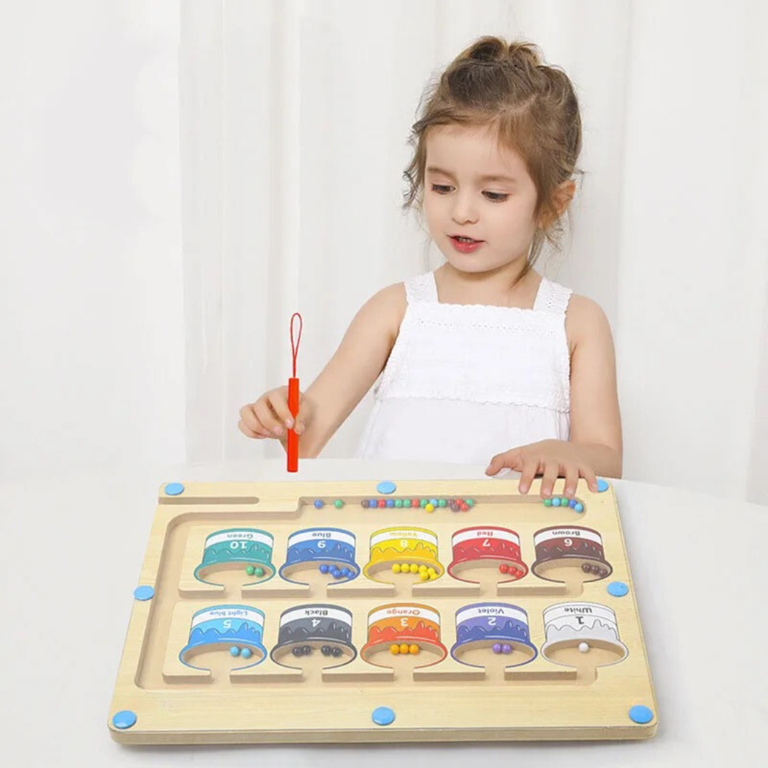 Montessori Magnetic Maze