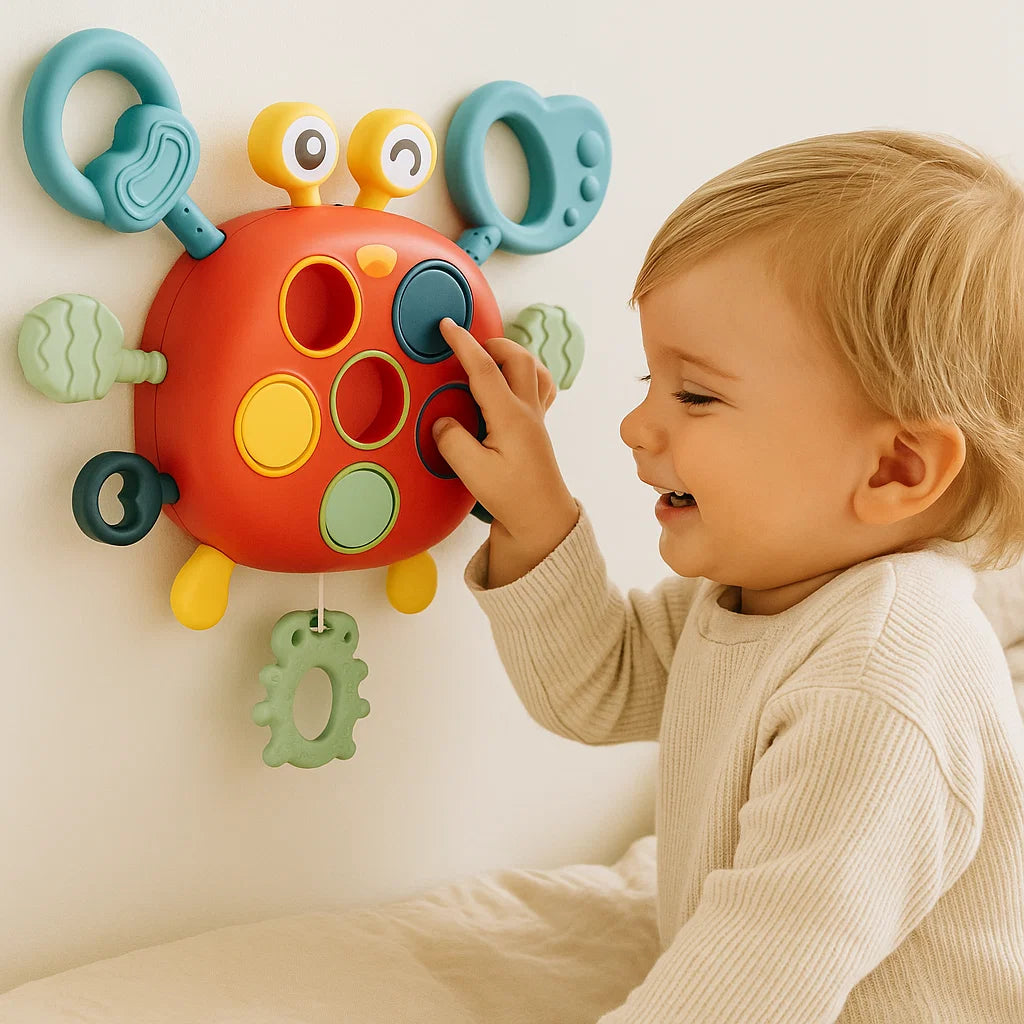 Sensory Development Toy for Babies