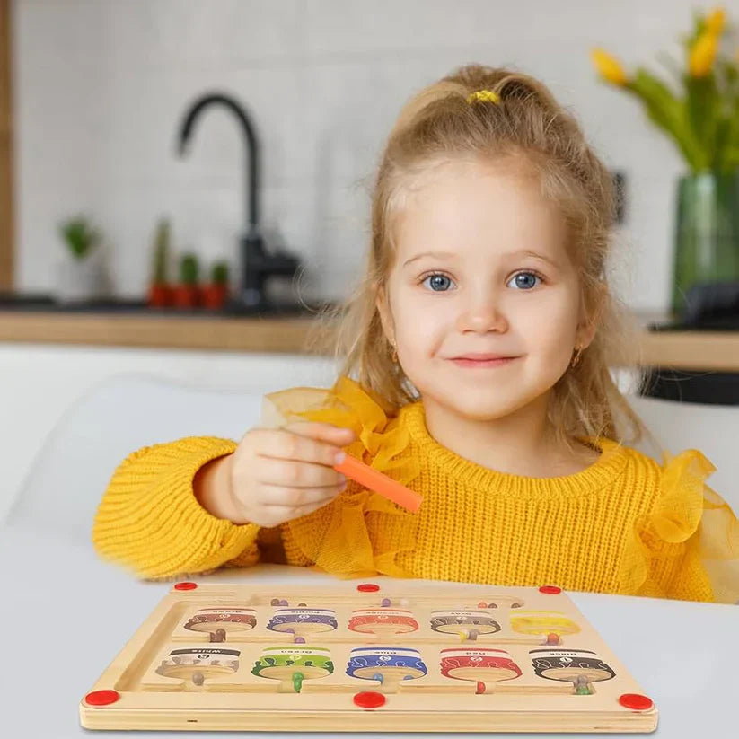 Montessori Magnetic Maze