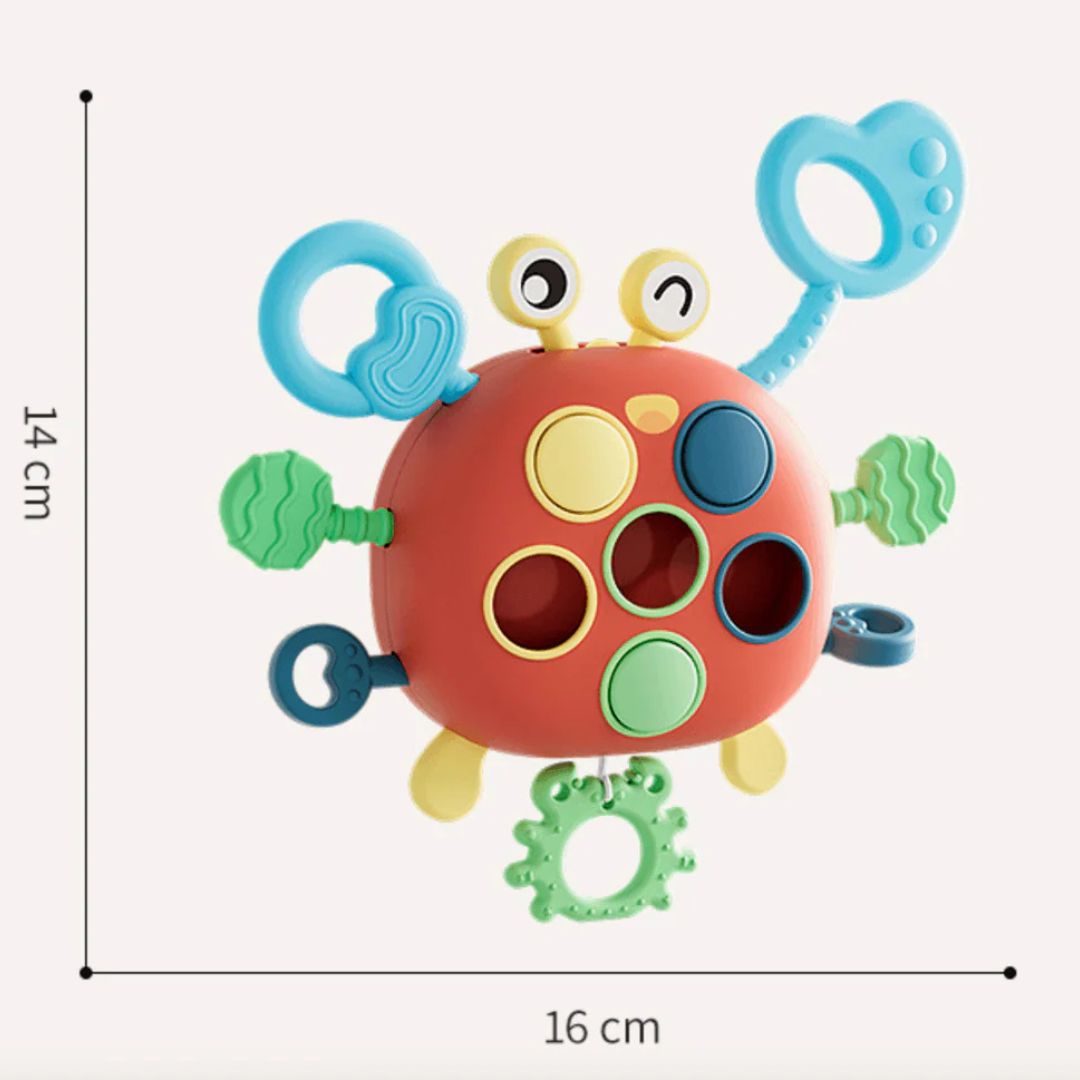Sensory Development Toy for Babies