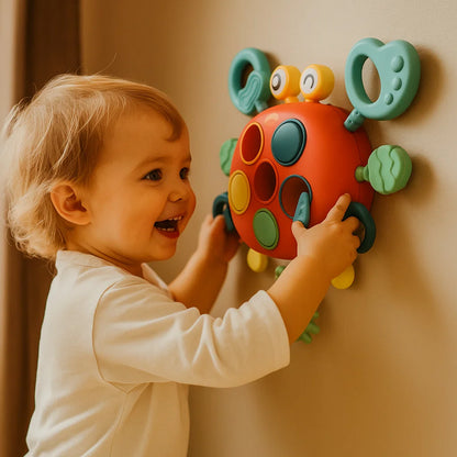 Sensory Development Toy for Babies