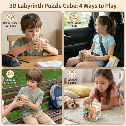 3D Labyrinth Puzzle Cube